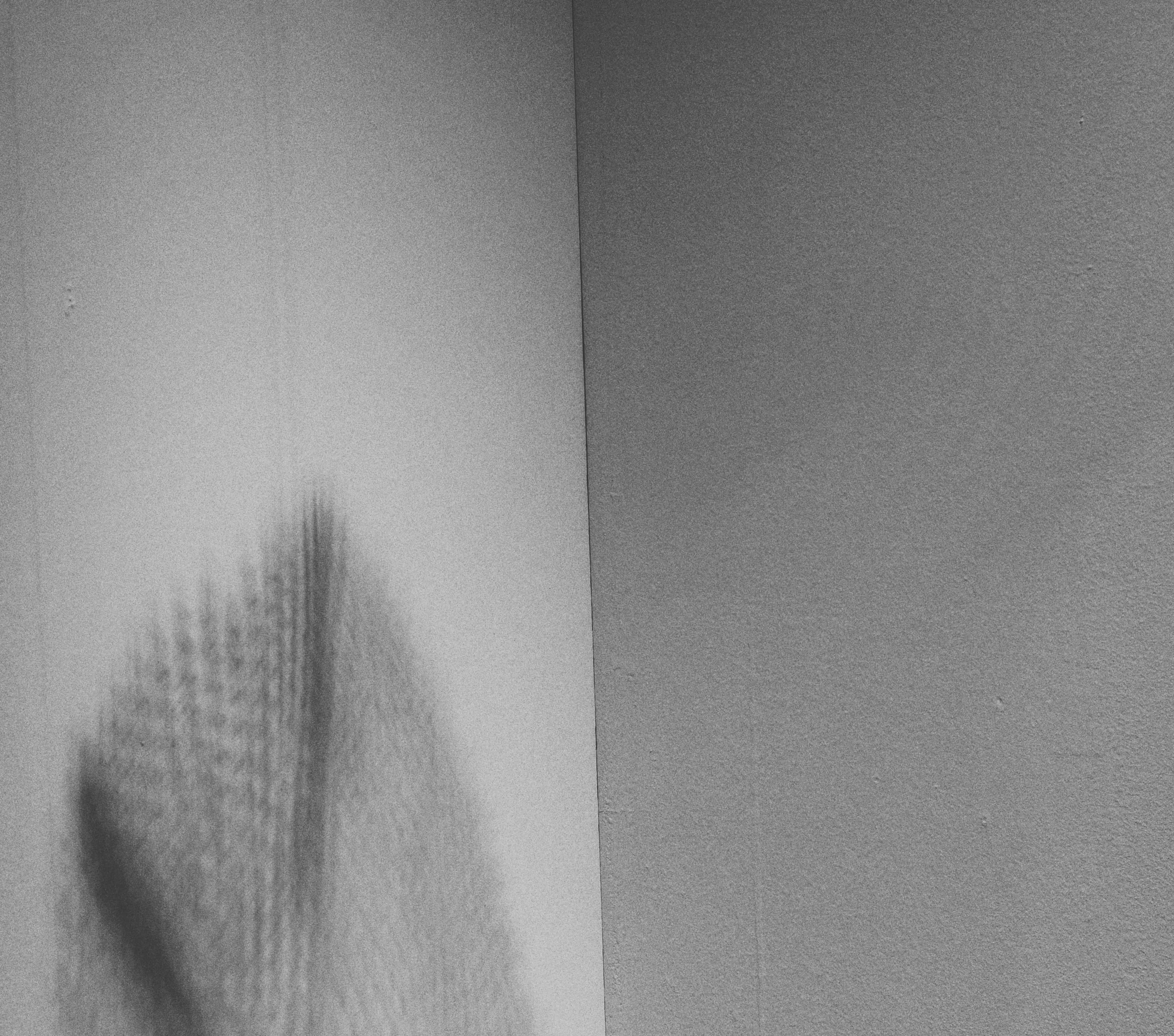 Black and white wallpaper